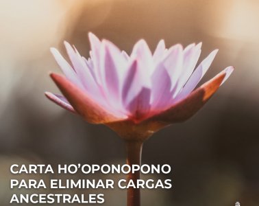 Susan Castro @OPULIX